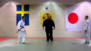 preview picture of video 'Bålsta Cupen 2013-02-02 Erik 1'