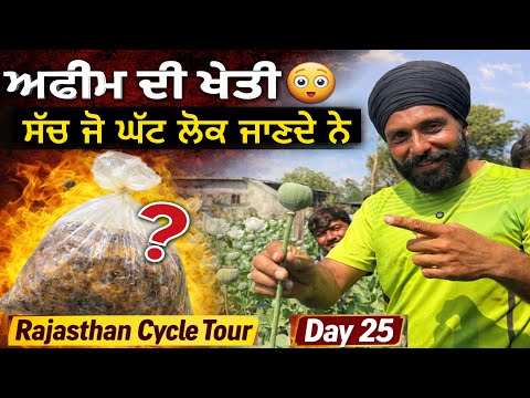 ਡੋਡਿਆਂ ਦੀ ਖੇਤੀ ਦਾ ਸੱਚ ਜੋ ਬਹੁਤ ਘੱਟ ਲੋਕ ਜਾਣਦੇ ਨੇ । Rajasthan Cycle Tour Day 25 Gur Brar Vlogs