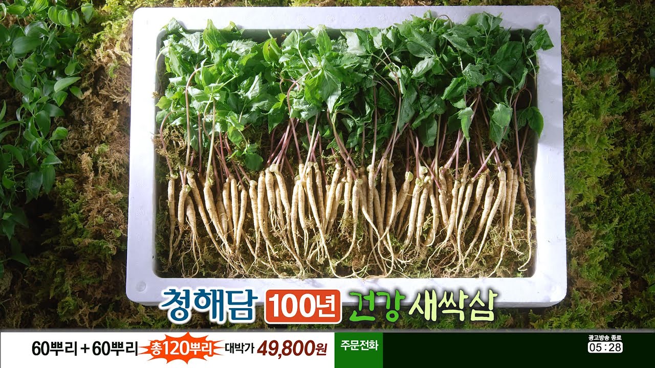 청해담 새싹삼 [홈쇼핑영상제작] 인포머셜