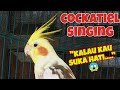 Falk Menyanyi Lagu Kalau Kau Suka Hati ️ Falk Cockatiel Kalaukausukahati