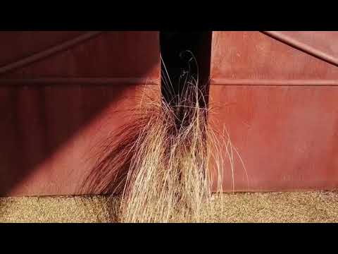 VIDEO 2023 03 27 17 17 423