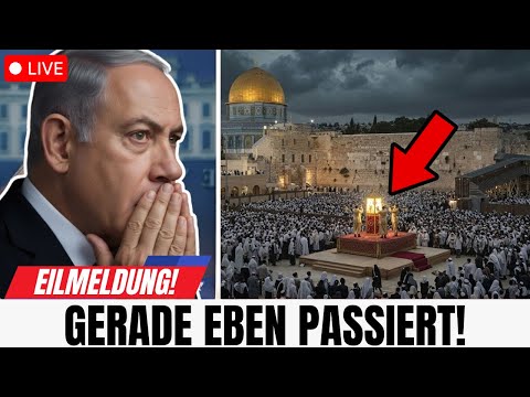 They have arrived NOW 🙏 Happening today in Jerusalem!