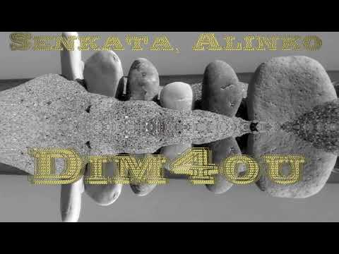 Сенката, Алинко & Dim4ou + HRD (2009)