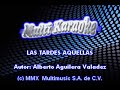LAS TARDES AQUELLAS KARAOKE JUAN GABRIEL