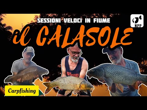 "IL CALASOLE"  CARPFISHING gli Orari  Migliori Per Pescare Le Carpe in  Fiume