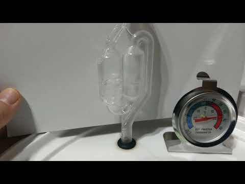 B33: Strong Belgian Witbier w/ Safale BE-134 yeast starter