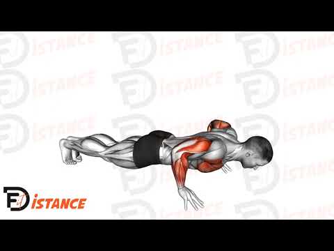 Exercice Pompes sur les doigts
