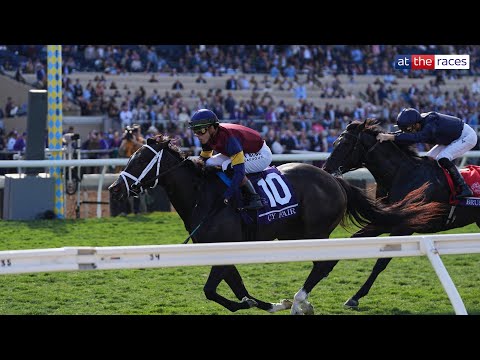 Great ride! CY FAIR wins the Breeders' Cup Juvenile Turf Sprint!