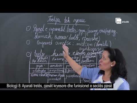 Aparati tretës, pjesët kryesore dhe funksionet e secilës pjesë | Biologji 8