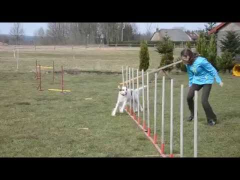 Brita - první trénink v roce 2015 :))