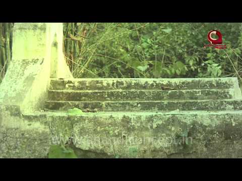 shabina Maay The Mstry