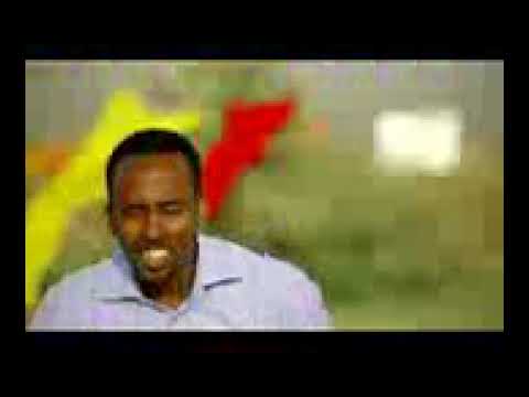 Ali dhaanto New dhaanto,Kaalay Arag danwaa wabigii doolo iyo kaalay Arag dannood.