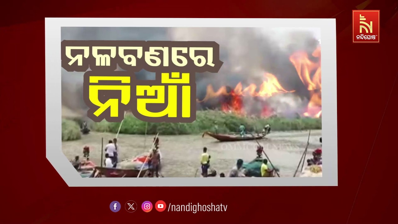 🔴 Live | ନଳ ବଣରେ ନିଆଁ