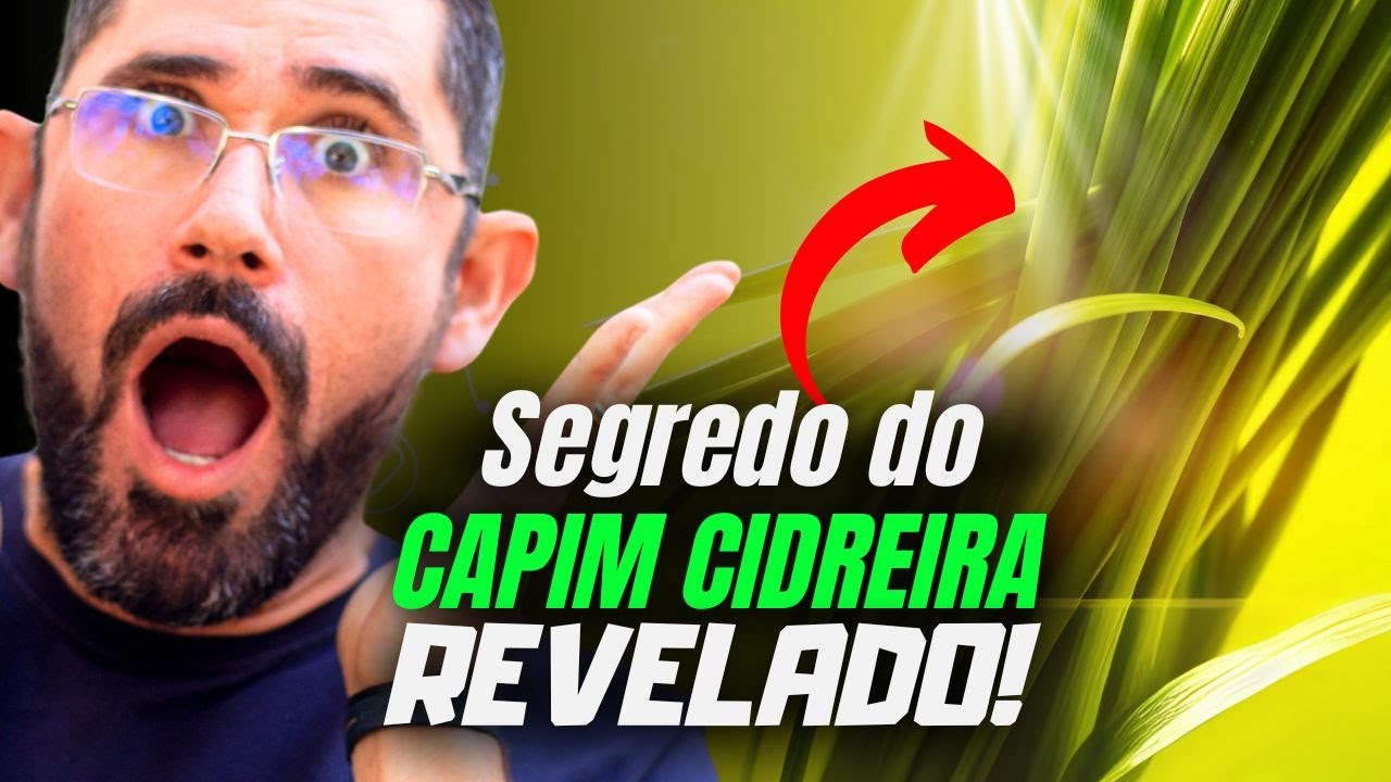 A CIÊNCIA CONFIRMOU! O poder oculto do CAPIM CIDREIRA que poucos conhecem!