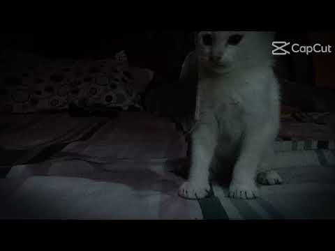 10 de setiembre de 2024