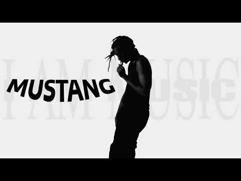 Playboi Carti ft. The Weeknd - MUSTANG (Prod. Dani Franz)