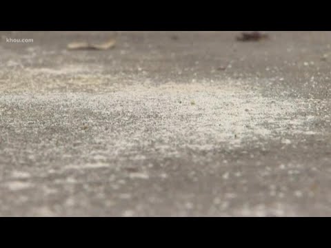 Neighbors shocked to find human remains scattered on busy street in The Heights