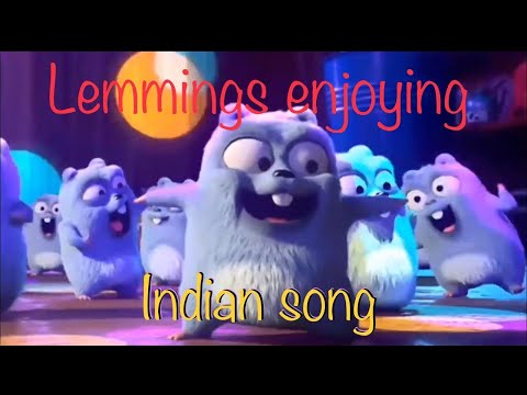 B&Y AGENCYLemmings enjoying Indian song - Nachan Nu Jee Karda - E4
