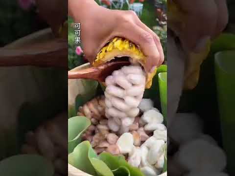 How To Make white chocolate