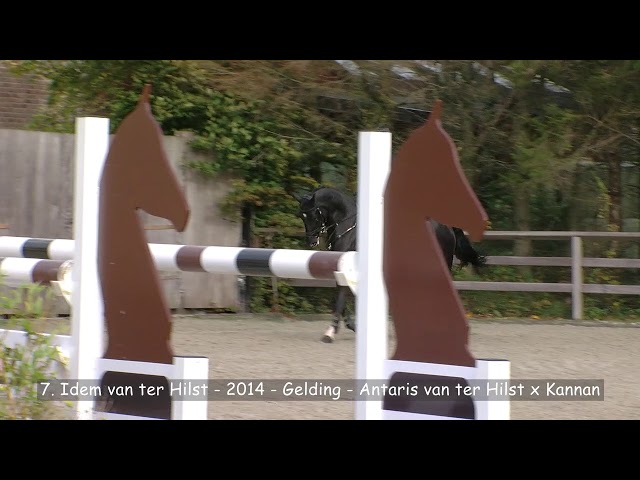 7. Idem van Ter Hilst