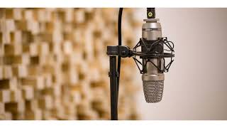 Grinspoon - Just Ace (vocals backing track)