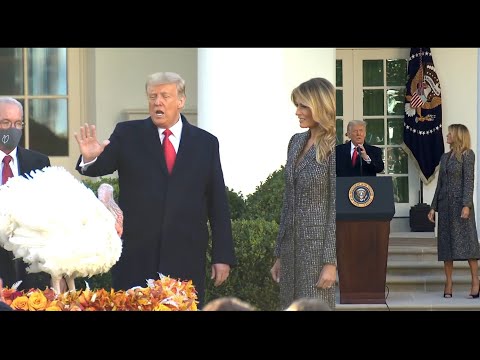 Trump & the First Lady Present the National Thanksgiving Turkey