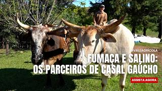 Miniatura do vídeo