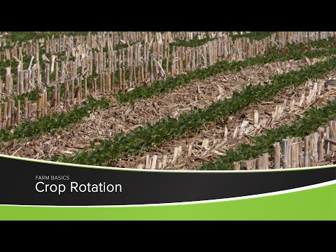 Crop Rotation
