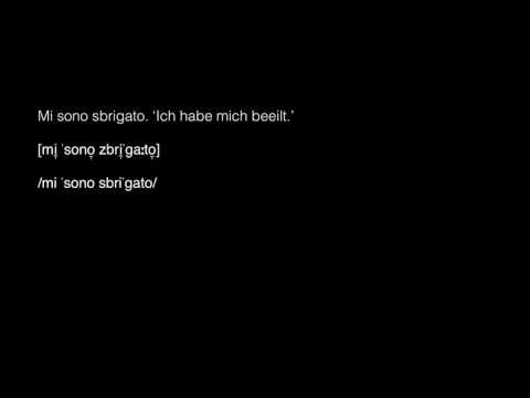 Sprachwissenschaft 4: Phonetik und Phonologie