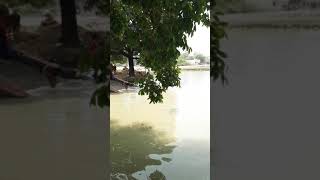 preview picture of video 'Din Nagar Balamau Hardoi uttar Pradesh India 241126'