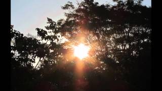 THE PRIESTS - Amazing Grace