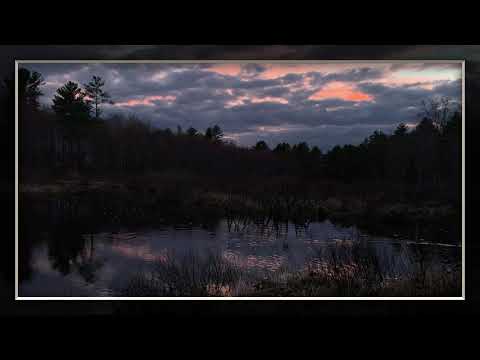 Peepers - All Night Long - Naturally Peaceful White Noise