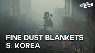 [NEWS]  BLACKPINK 'Ddu-Du Ddu-du', 2nd Trump-Kim summit,  fine dust