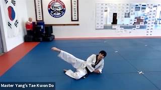 Live Class - Red Belt - 5.21.20 @ 5:30pm