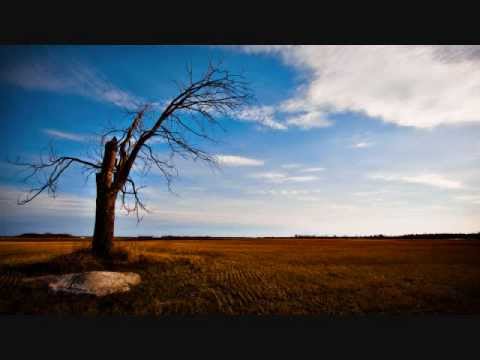 Video thumbnail for End of the Background Noise