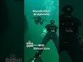 PADI SIDEMOUNT COURSE #padi #scuba #scubadiving #sidemount #sidemountdiving #xdeep