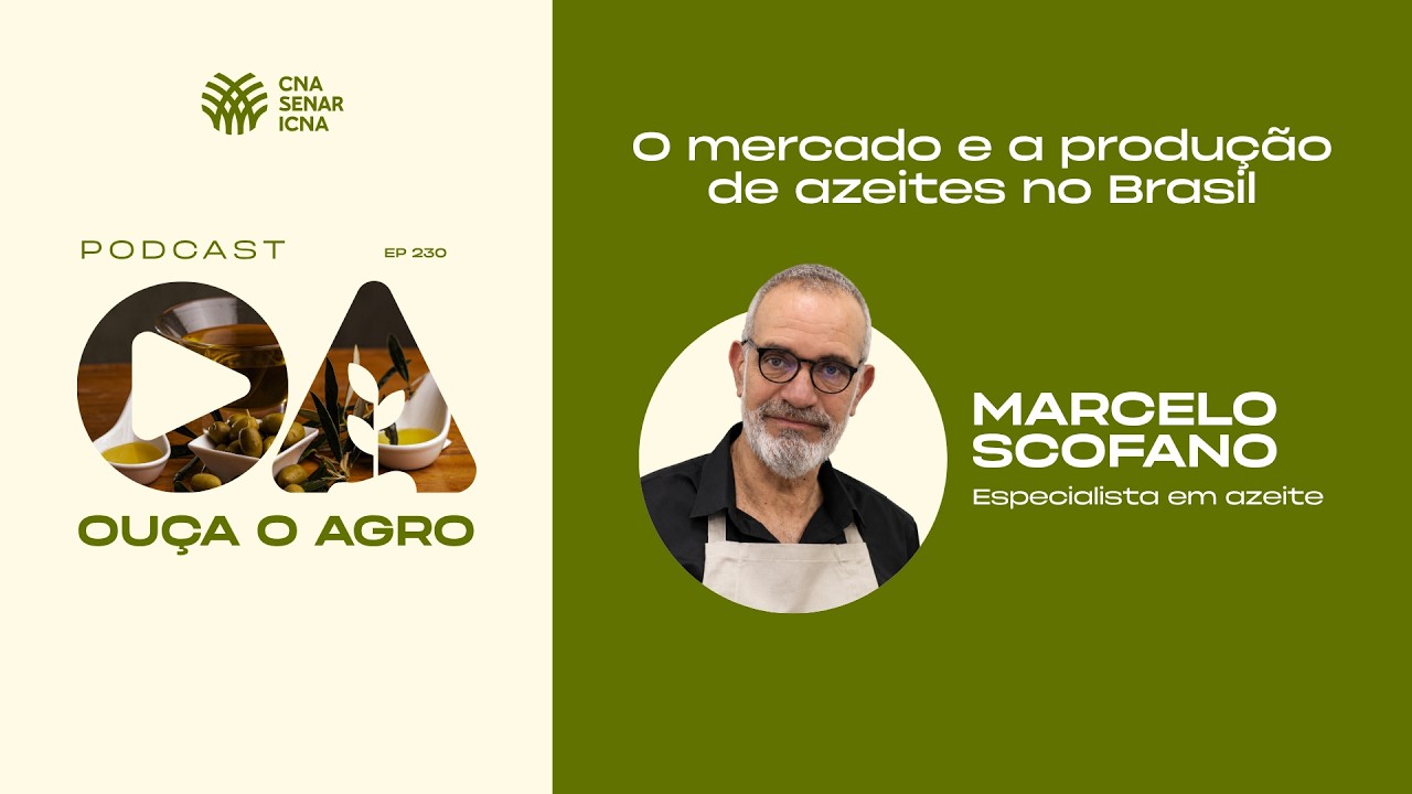🎧 OUÇA O AGRO 230 - O mercado e a produção de azeites no Brasil