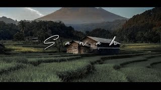 Download lagu Suasana Sawah di pagi hari | Cinematic video mp3