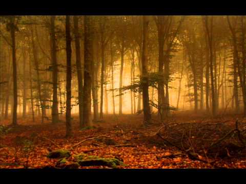 V Sag - Tear Off Sessions - 26.March.2007