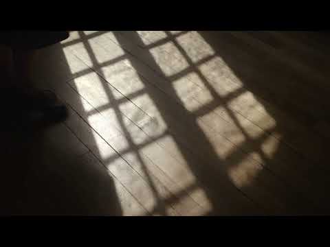 MORJAS Women's | The Penny Loafer