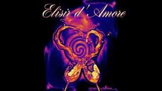 ELISIR D&#39;AMORE cover Alessandro Mannarino....SERENATA LACRIMOSA