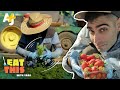 What Everyone Gets WRONG About Farm Work