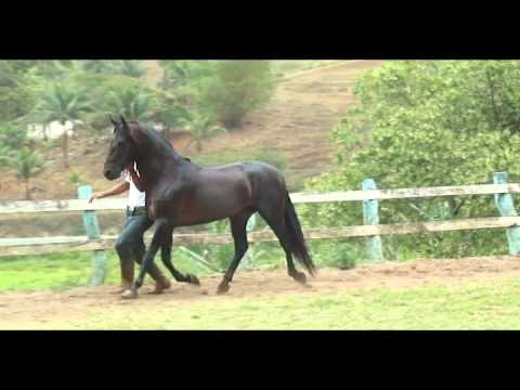 General Invocado.avi