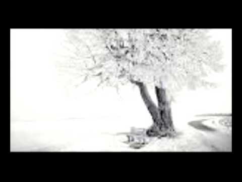 The Funky 80s Romantic Yamaha E Cello Soft Pop Pizzicato Groove Beat Jam in E minor 369 (130 bpm)