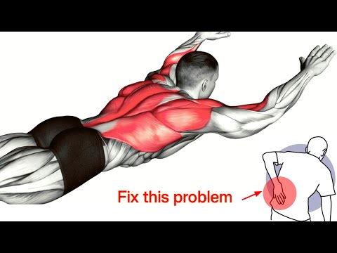 Best Lower Back Machine Exercises to Strengthen and Protect Your Back