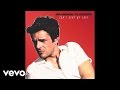 Brandon Flowers - Can't Deny My Love (Audio ...
