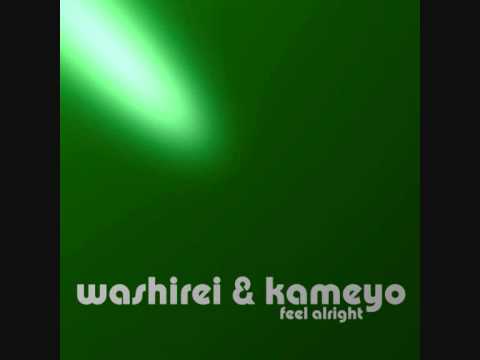 WASHIREI & KAMEYO -  Feel Alright