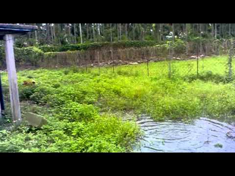 來個野性訓練吧(原發表者:hebe033)(體能訓練)