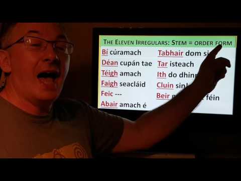 LESSON 3: I WAS, I GOT, I WENT, I DID, I CAME,