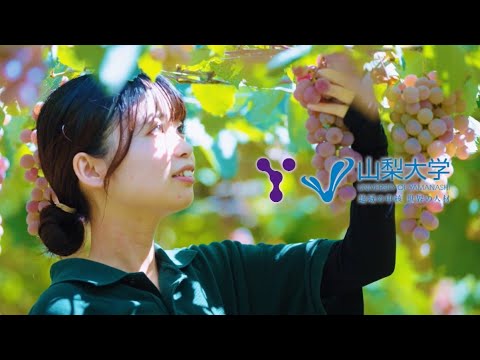 山梨大学CM ワイン科学編